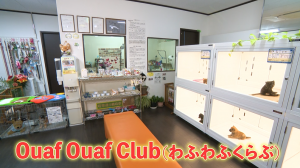 TBS「夜のブランチ」で紹介された店舗内観