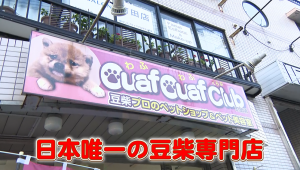 TBS「夜のブランチ」で紹介された店舗外観